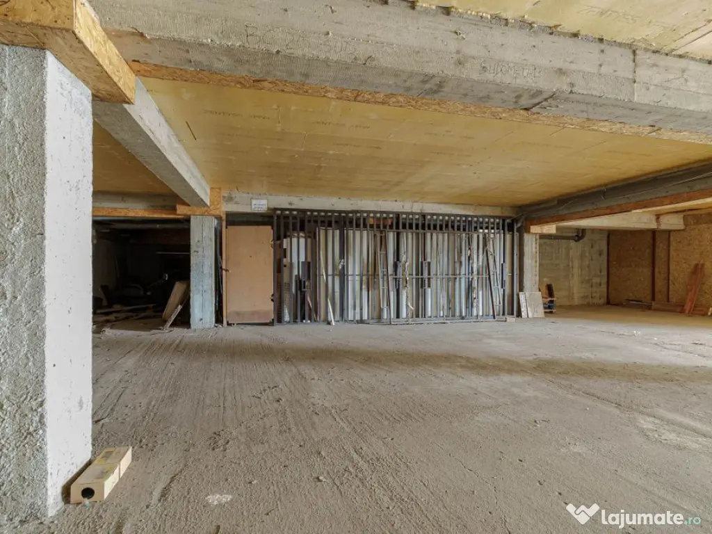 Spatiu comercial 424 mp Oportunitati multiple - Baneasa J... 