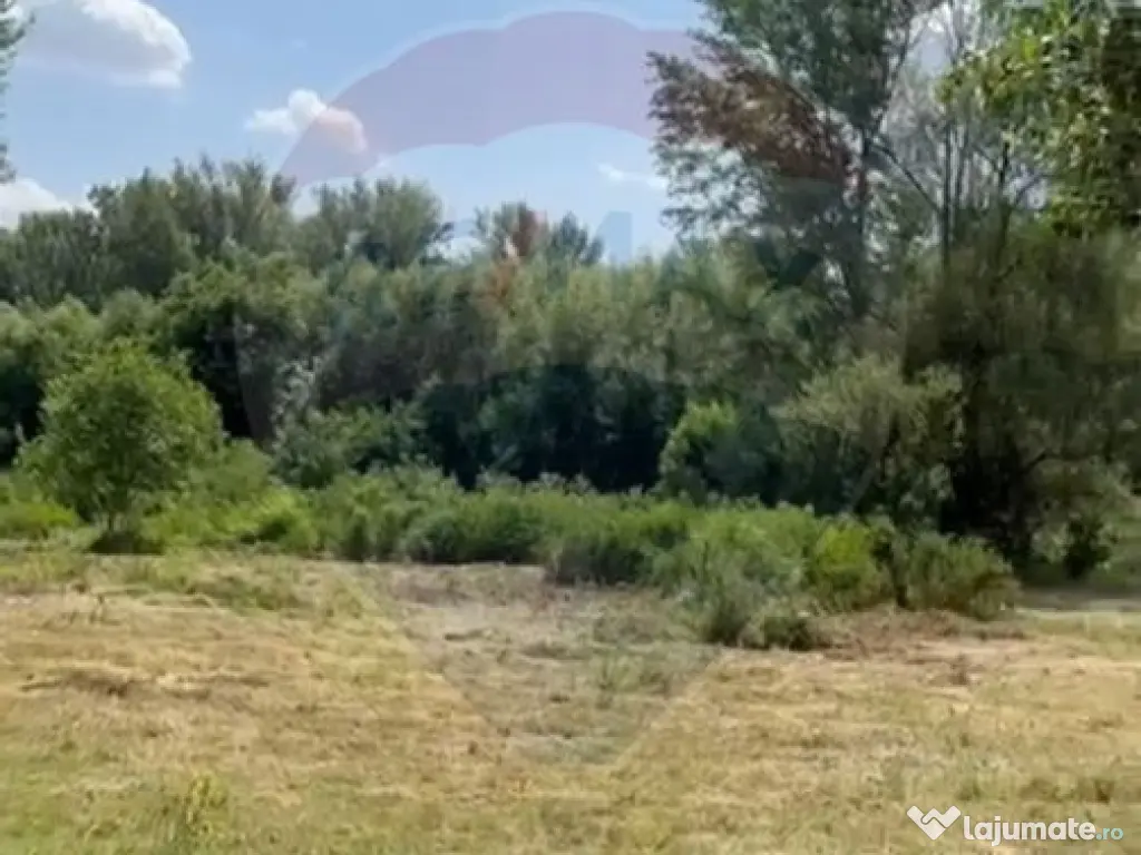 Teren-5000mp DN Ganeasa,sat Sindrilita,T9/Parcela 32/37 