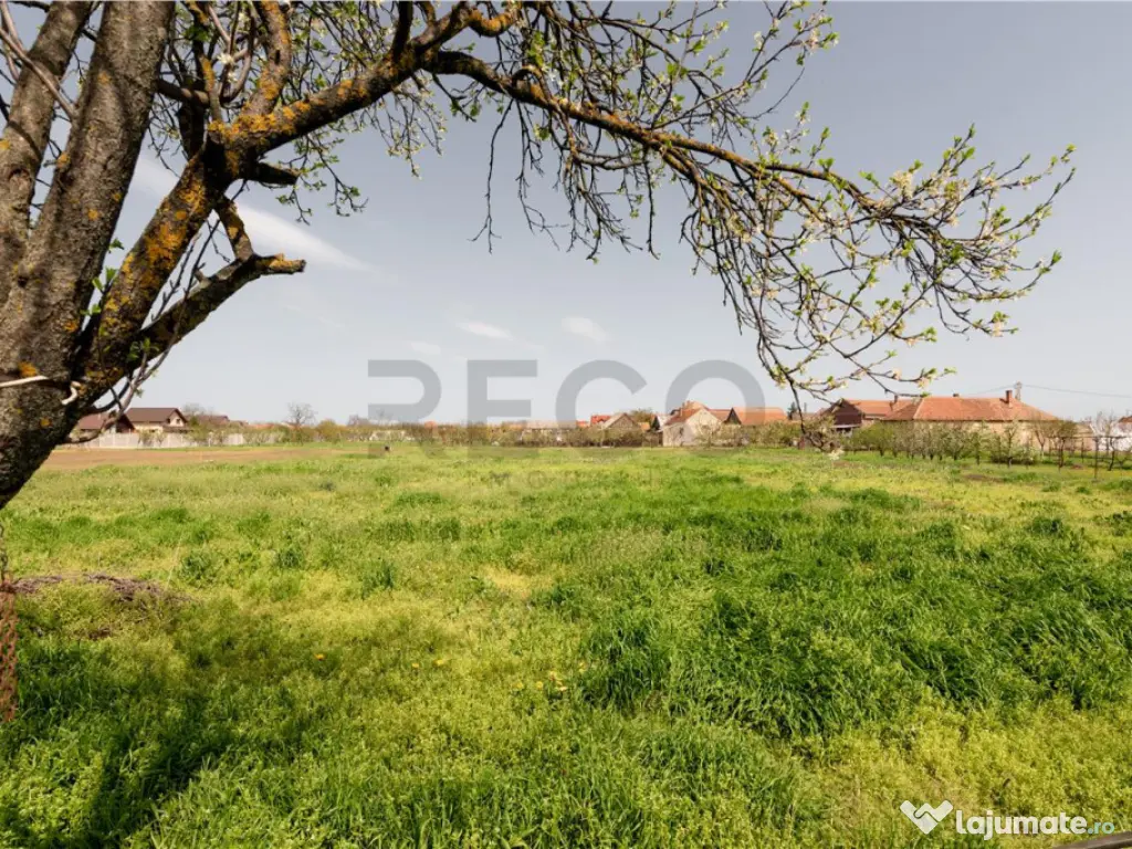 RECO casa cu teren generos in Santion 