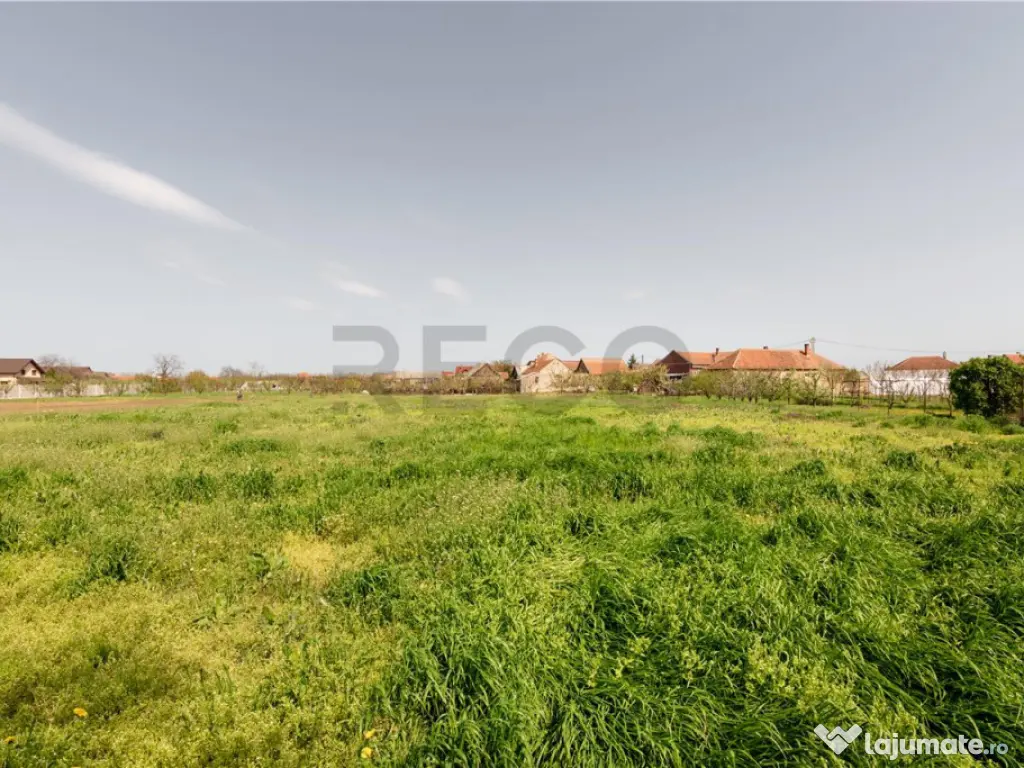 RECO casa cu teren generos in Santion 