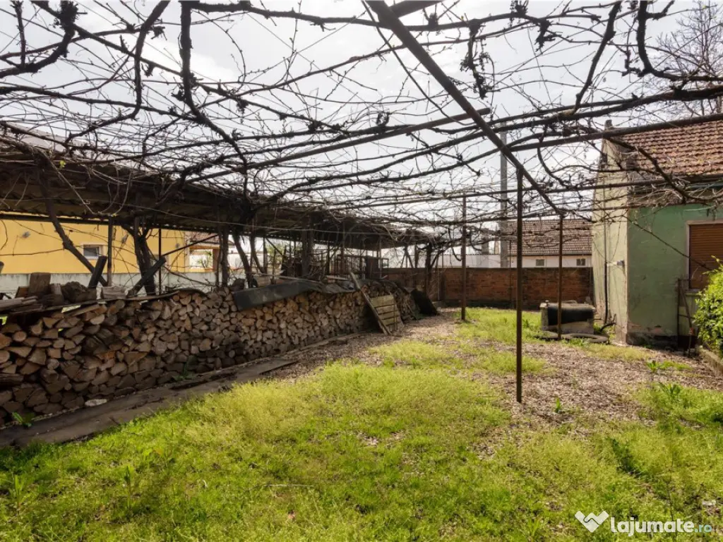 RECO casa cu teren generos in Santion 