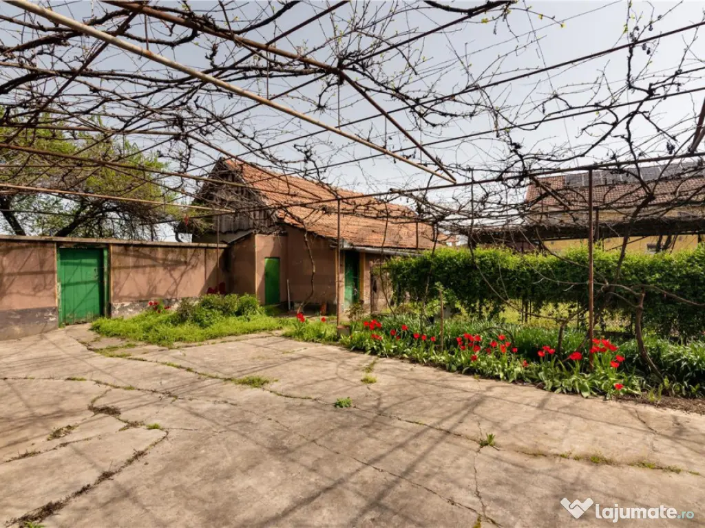 RECO casa cu teren generos in Santion 