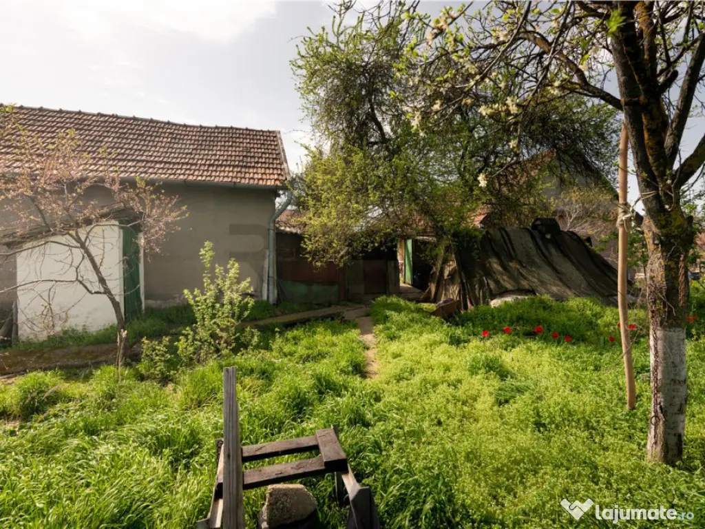 RECO casa cu teren generos in Santion 