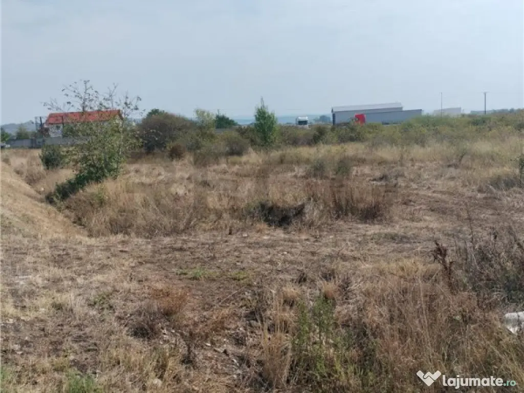 RECO teren intravilan tileagd 