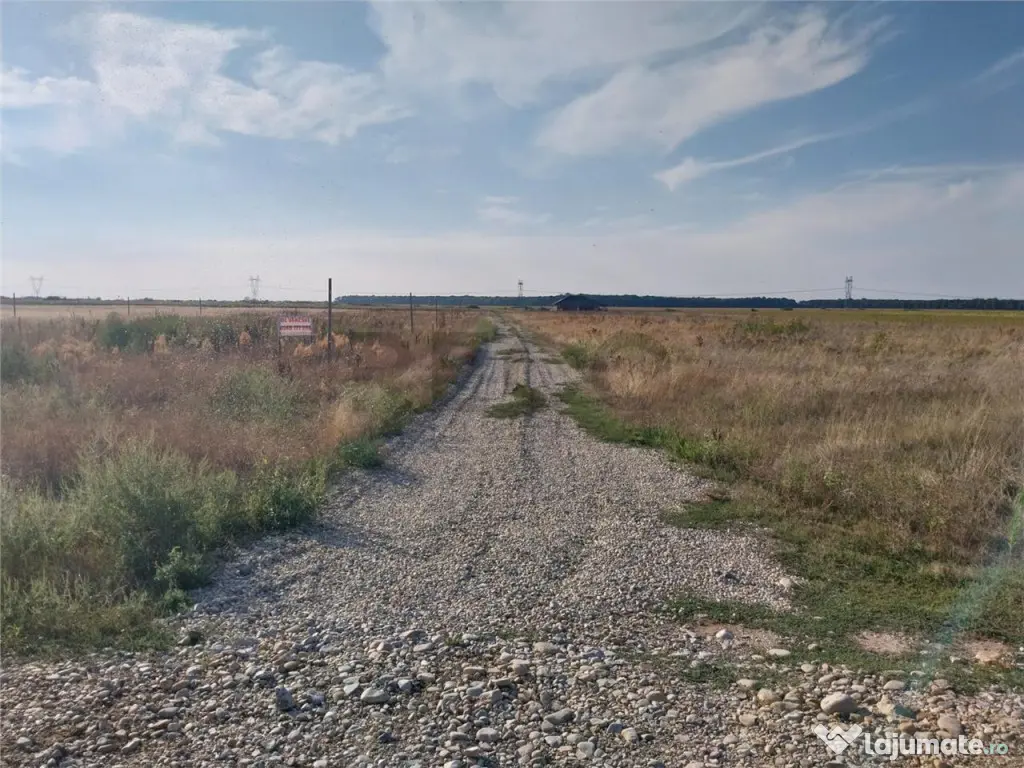 RECO Teren Cihei 504mp 