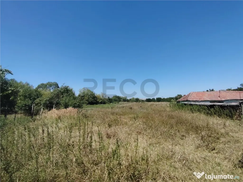 RECO Teren intravilan in Paleu la doar 22euro/mp 