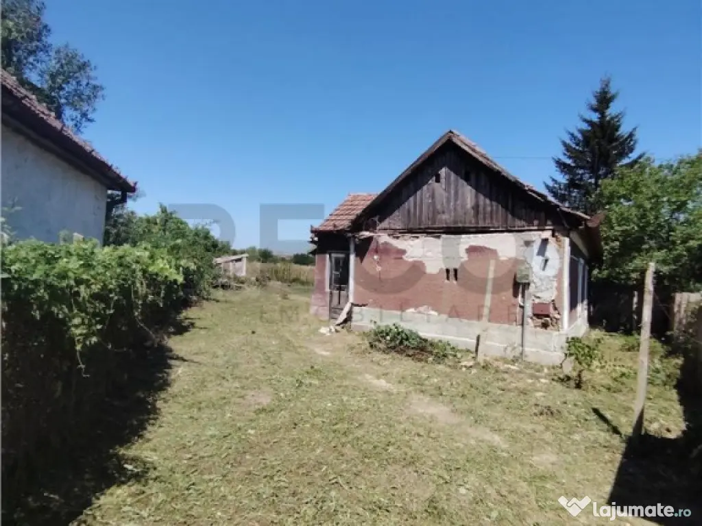 RECO Teren intravilan in Paleu la doar 22euro/mp 