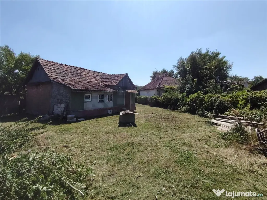 RECO Teren intravilan in Paleu la doar 22euro/mp 