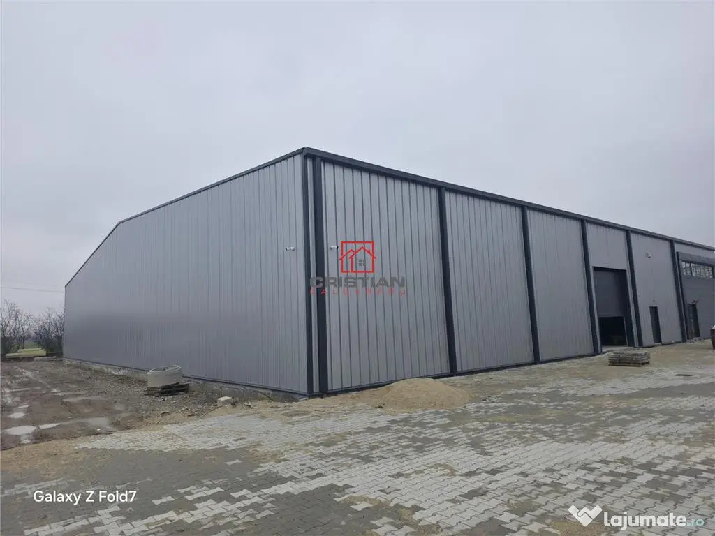 Depozit/hala/spatiu industrial Mogosoaia - Buftea 