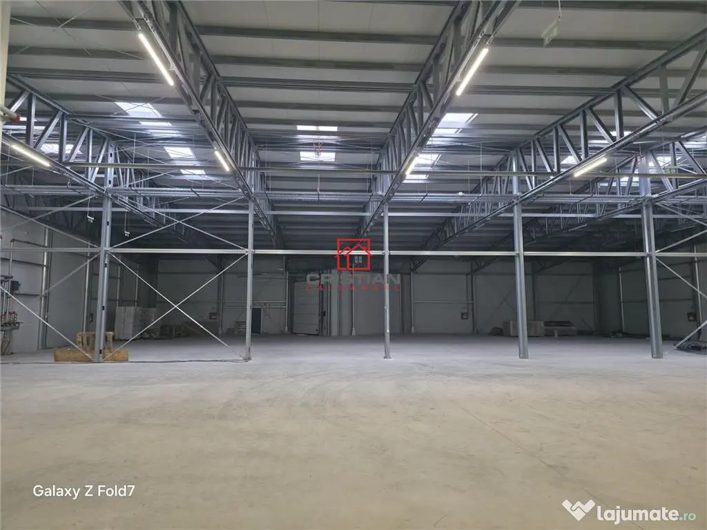 Depozit/hala/spatiu industrial Mogosoaia - Buftea 