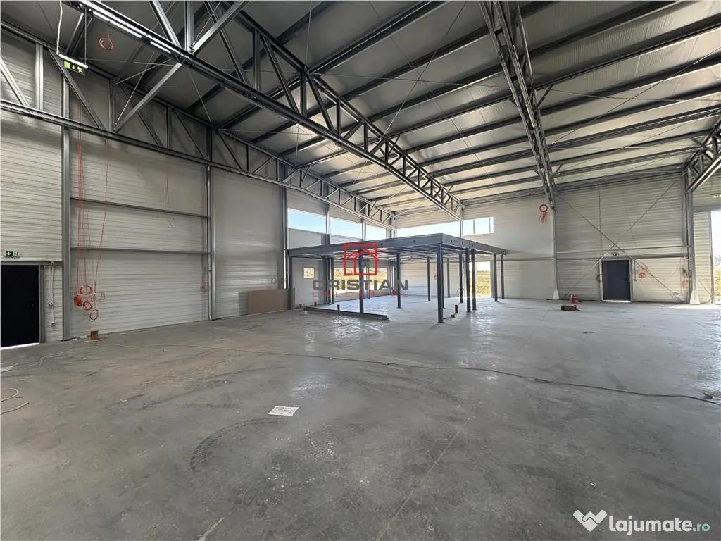 Depozit/hala/spatiu industrial Mogosoaia - Buftea