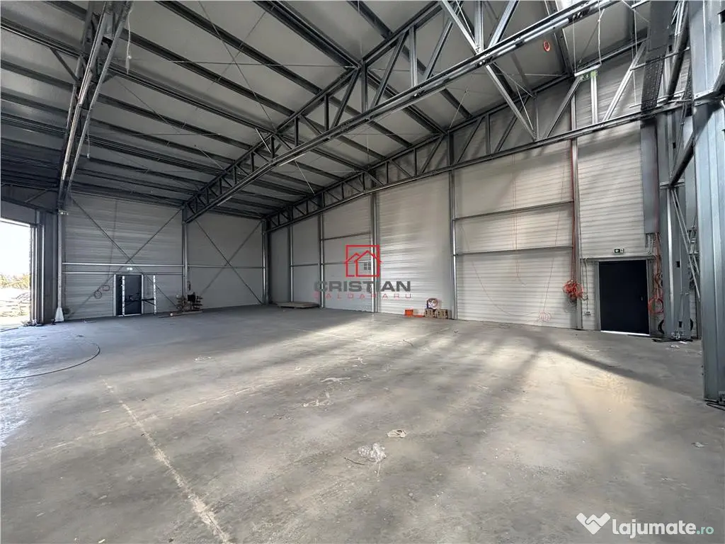 Depozit/hala/spatiu industrial Mogosoaia - Buftea
