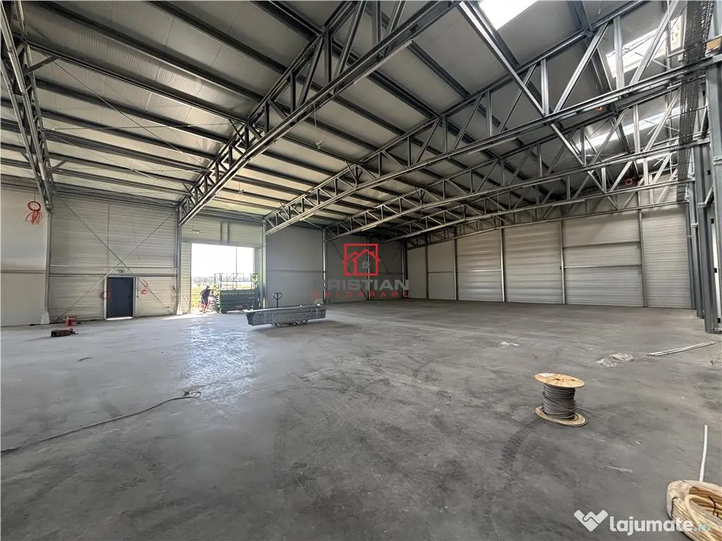 Depozit/hala/spatiu industrial Mogosoaia - Buftea