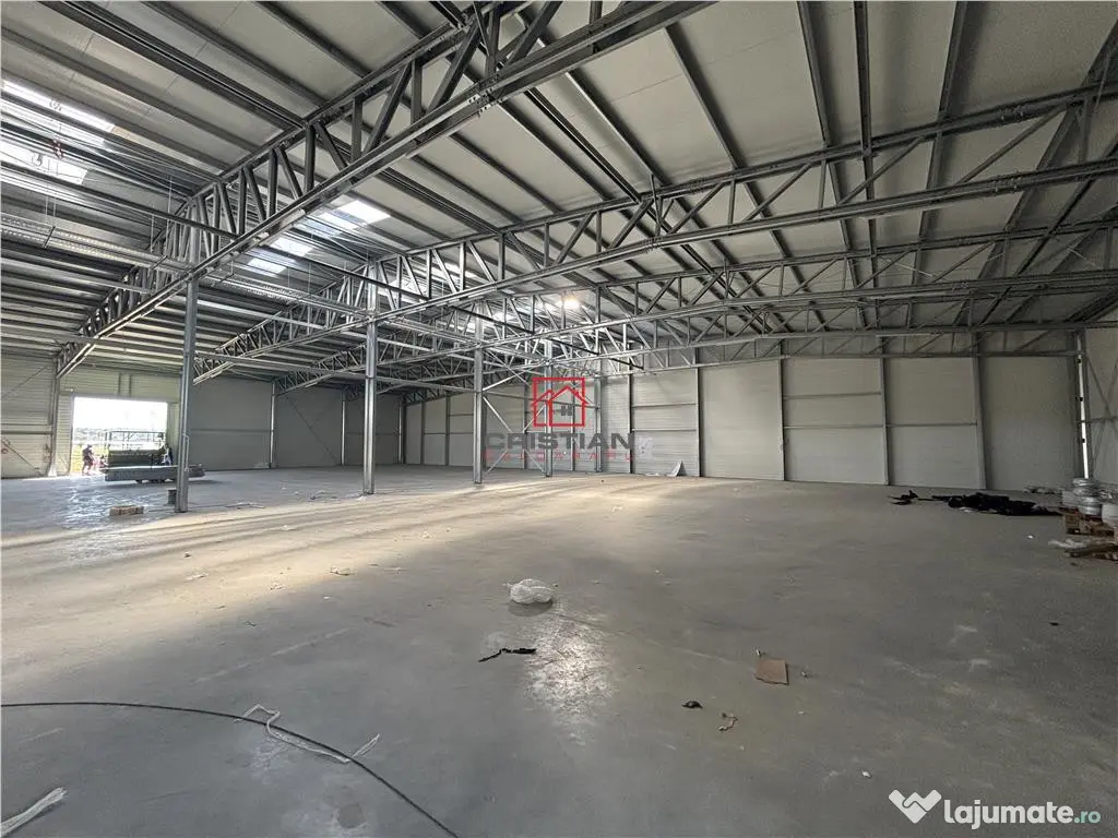 Depozit/hala/spatiu industrial Mogosoaia - Buftea