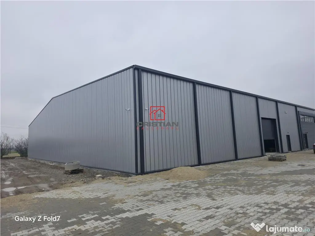 Depozit/hala/spatiu industrial Mogosoaia - Buftea