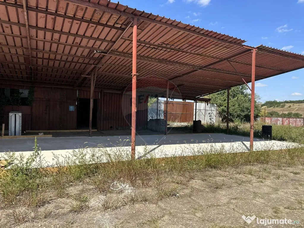 Spațiu industrial hale depozitare si productie 