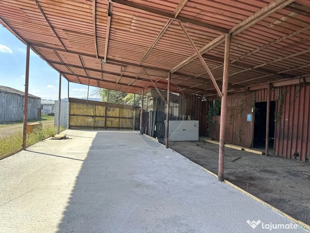 Spațiu industrial hale depozitare si productie 