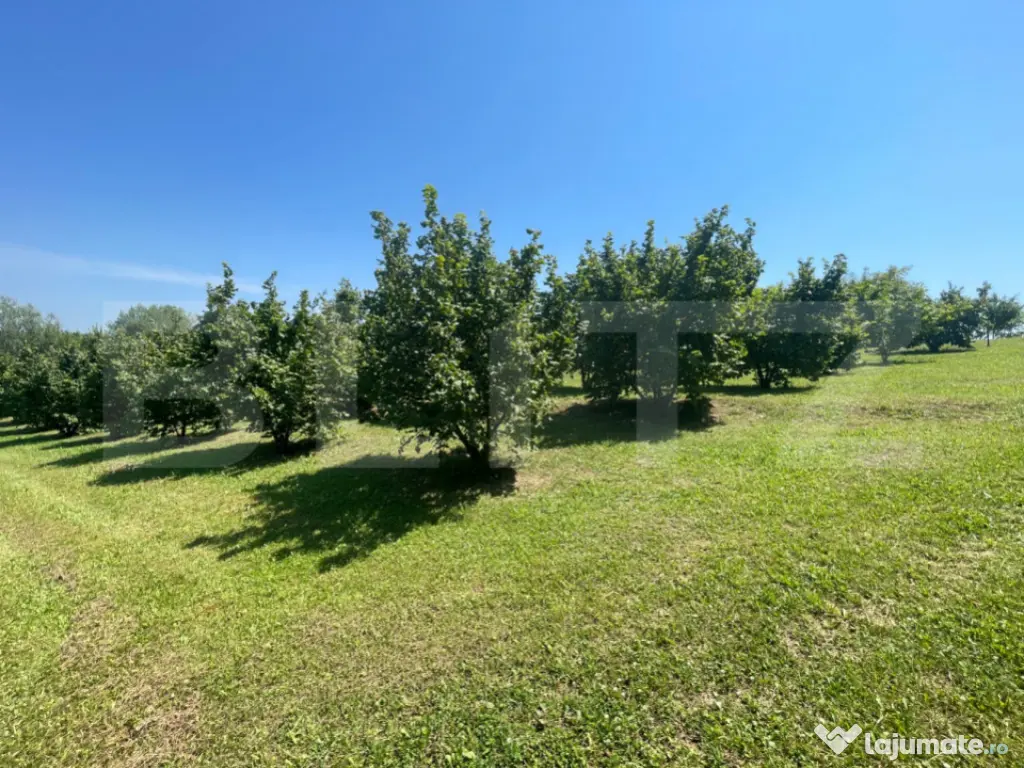 Glamping, piscicultură și turism spiritual - totul într-u 