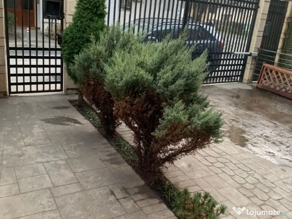 COMISION 0%Direct Proprietar, SPATIU de inchiriat zona Gara 