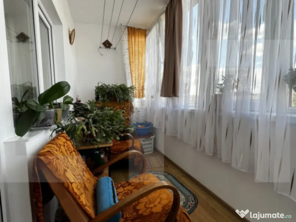 Apartament cu o cameră Buziașului