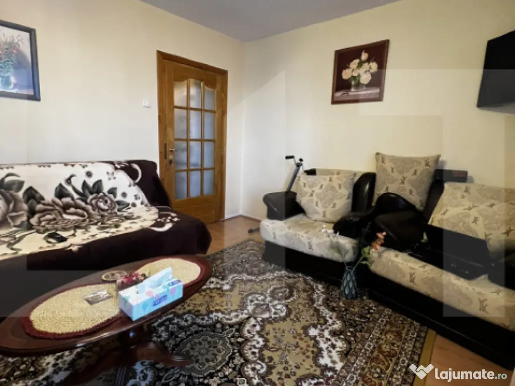 Apartament cu o cameră Buziașului