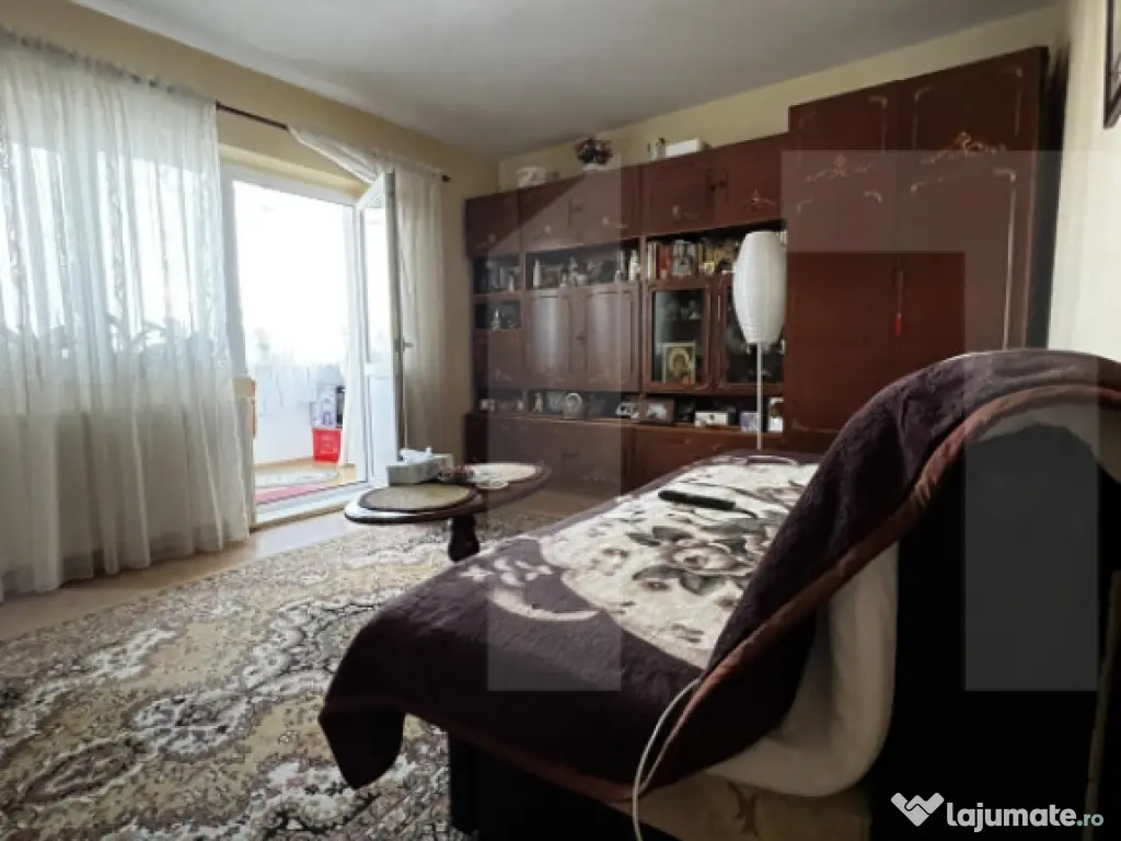 Apartament cu o cameră Buziașului