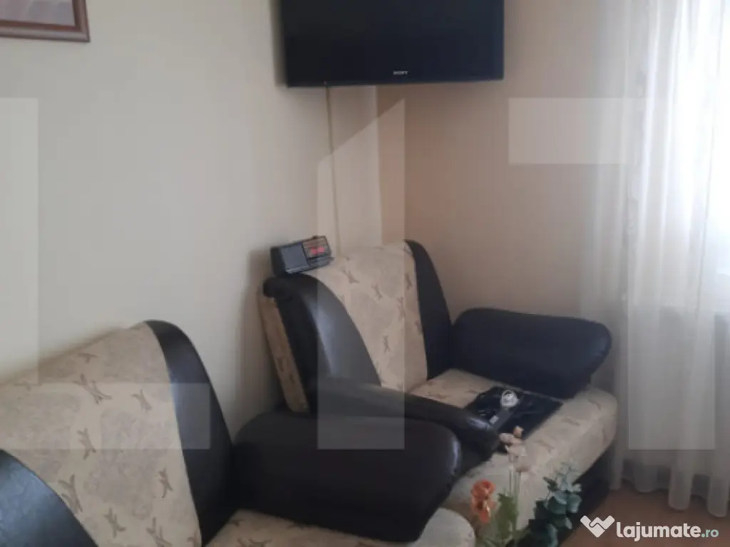 Apartament cu o cameră Buziașului