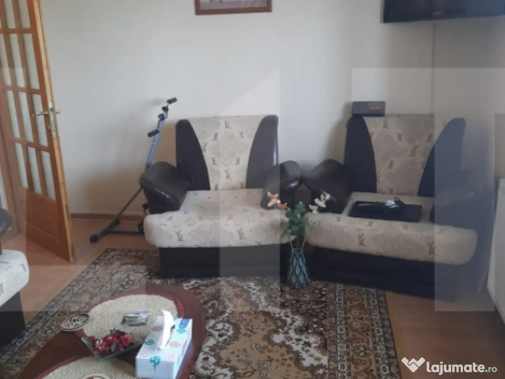Apartament cu o cameră Buziașului