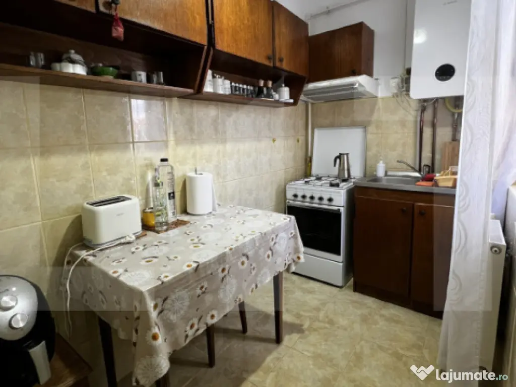 Apartament cu o cameră Buziașului