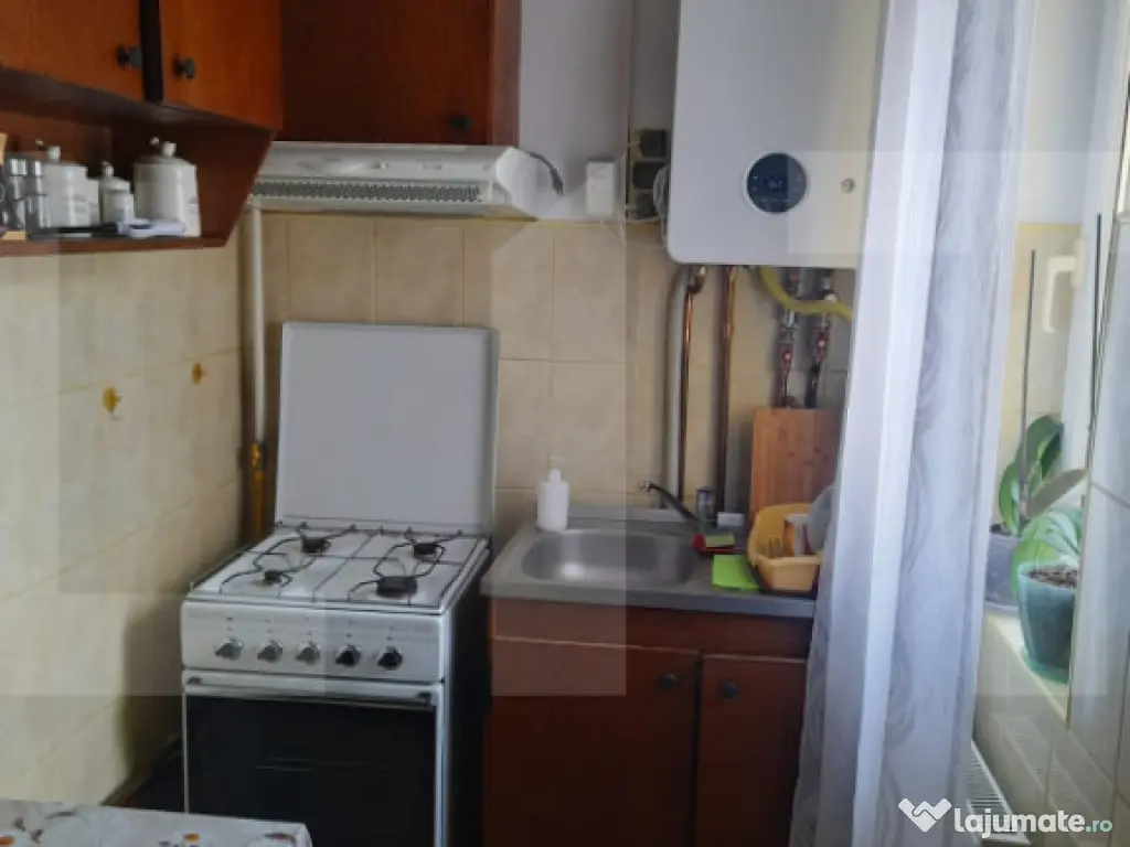 Apartament cu o cameră Buziașului