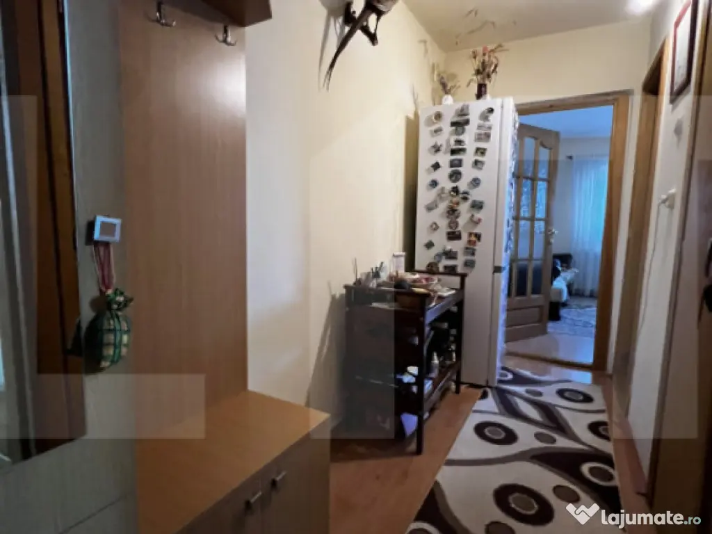 Apartament cu o cameră Buziașului