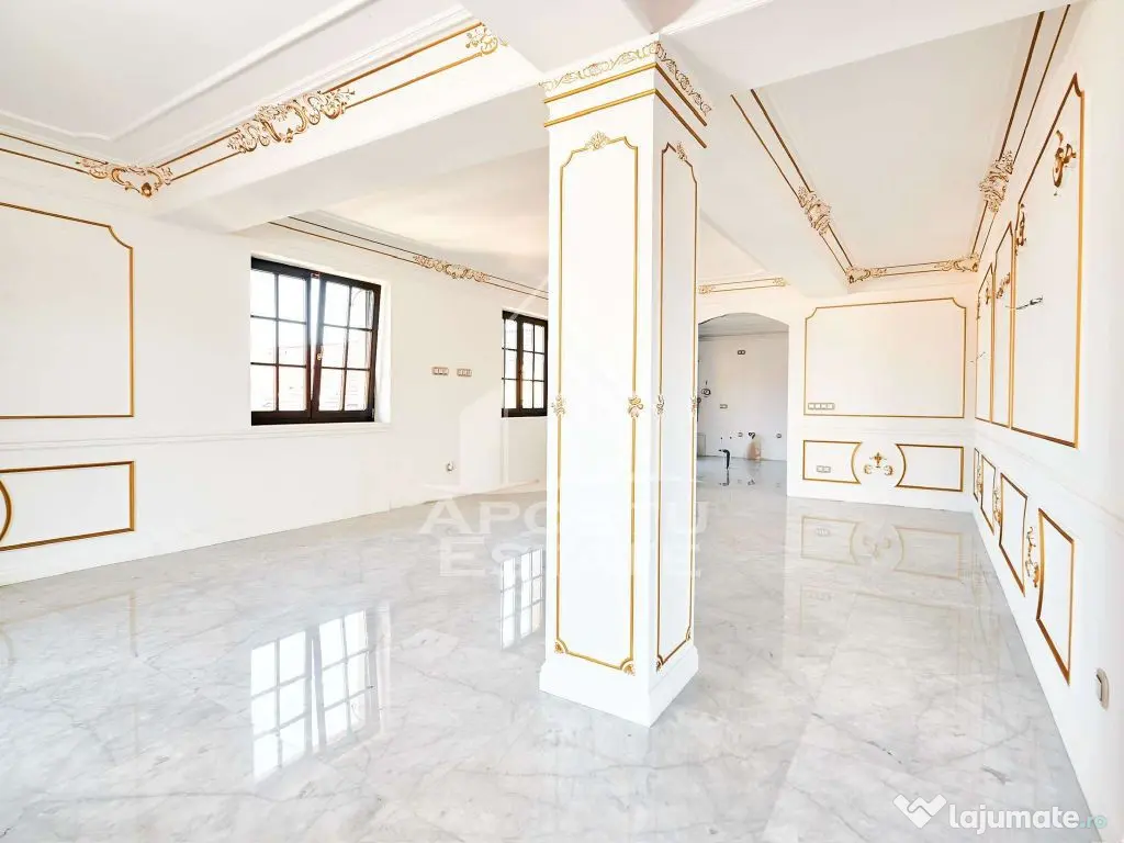 Apartament deosebit cu 5 camere in zona Mehala 