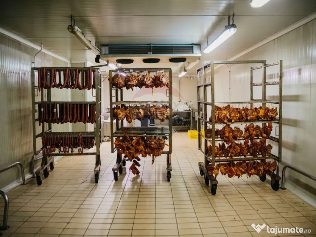 Spațiu industrial de 1,700mp de închiriat în zona Vasi... 