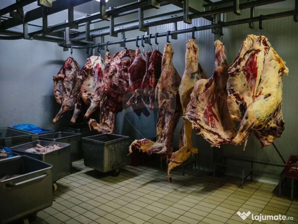 Spațiu industrial de 1,700mp de închiriat în zona Vasi... 