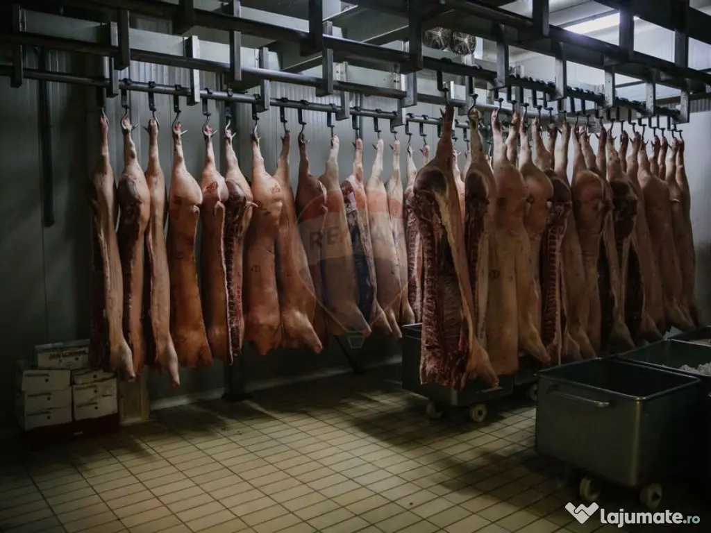 Spațiu industrial de 1,700mp de închiriat în zona Vasi... 