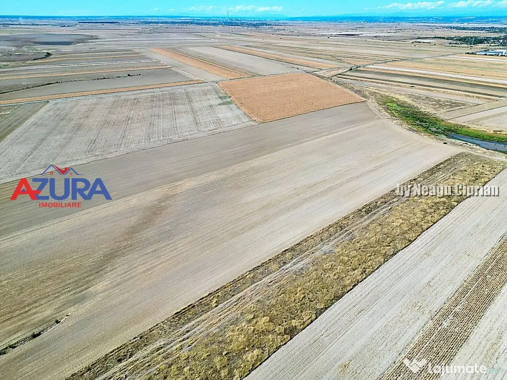 Teren agricol, 5HA, comasat, drum acces, Cateasca 