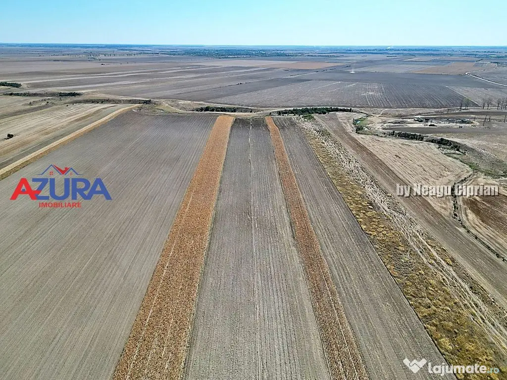 Teren agricol, 5HA, comasat, drum acces, Cateasca 