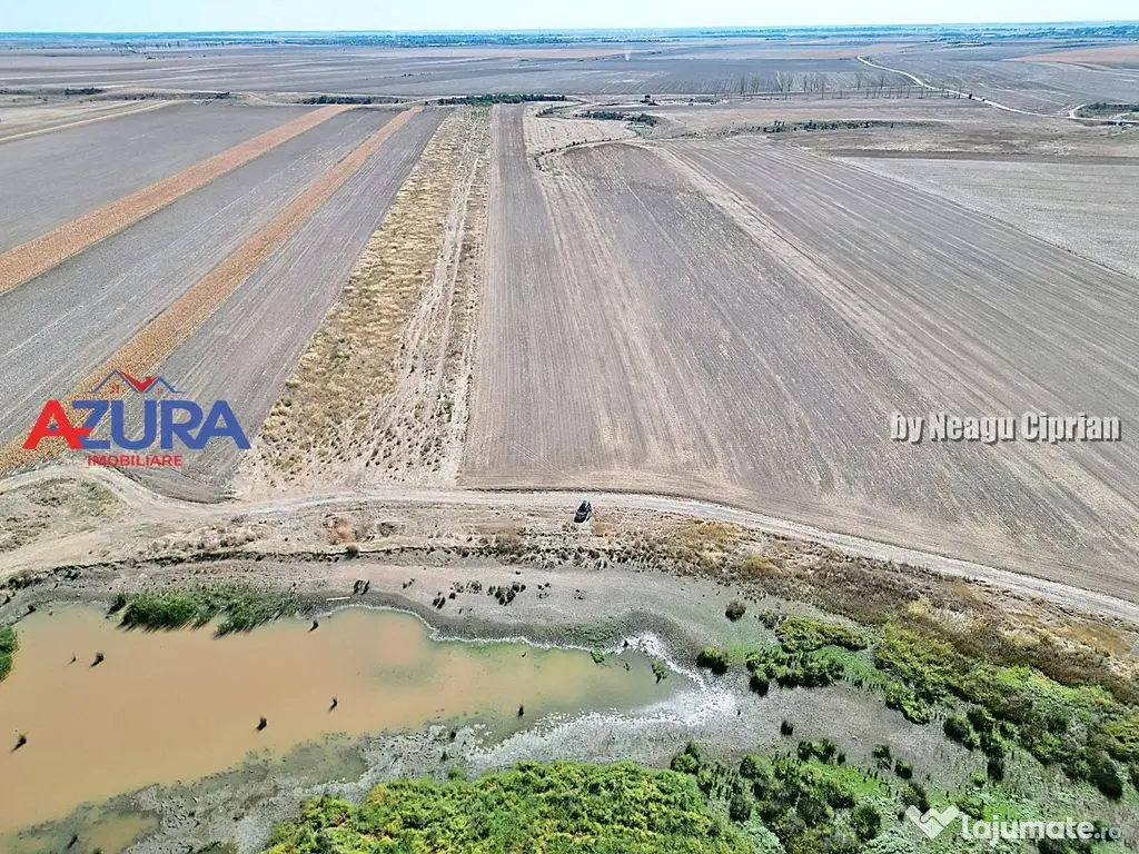 Teren agricol, 5HA, comasat, drum acces, Cateasca 