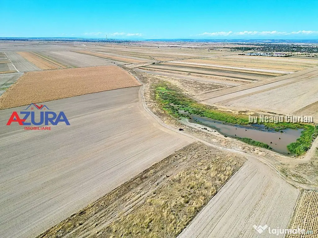 Teren agricol, 5HA, comasat, drum acces, Cateasca 