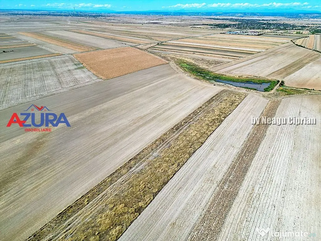 Teren agricol, 5HA, comasat, drum acces, Cateasca 