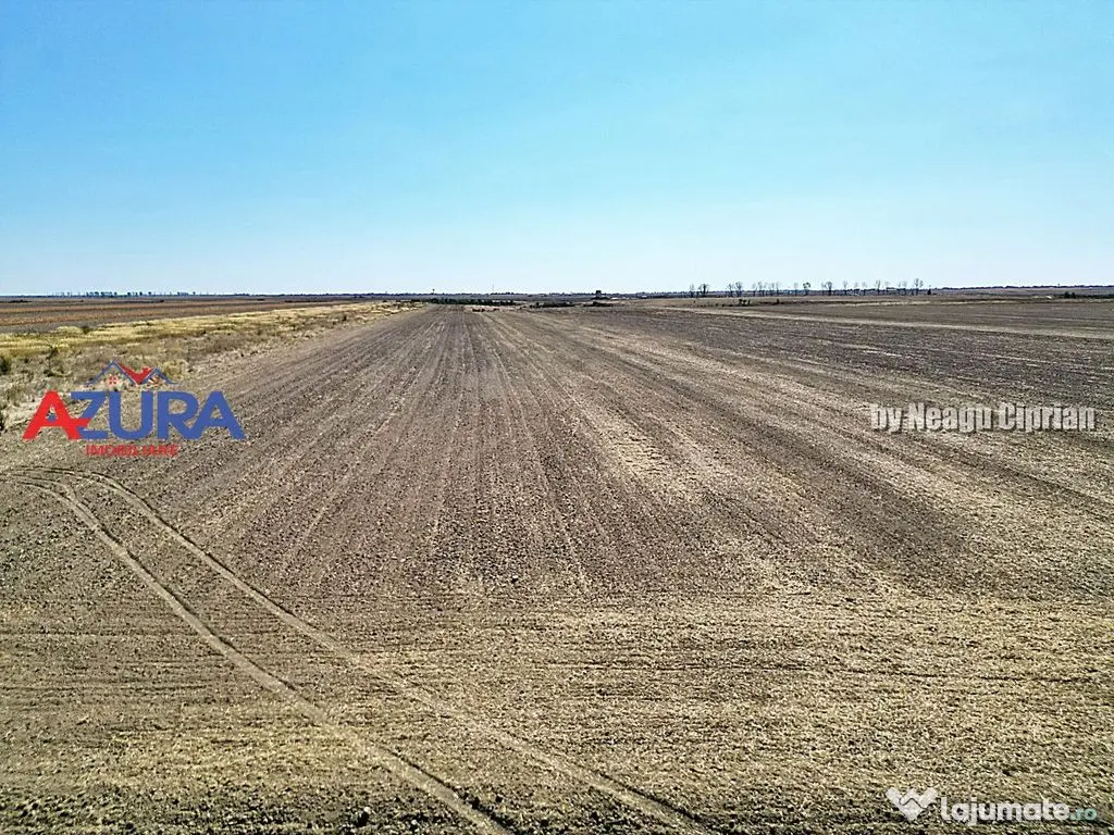 Teren agricol, 5HA, comasat, drum acces, Cateasca 