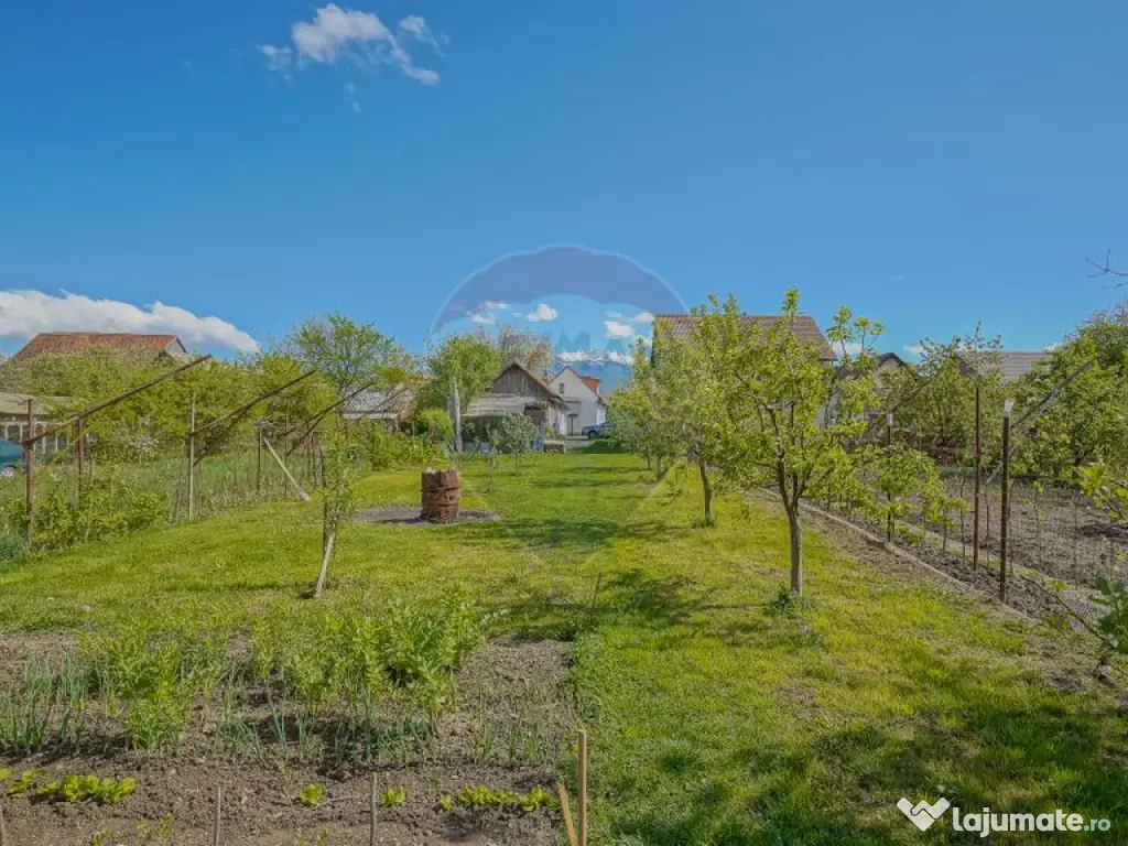 Spatiu Comercial/Afacere si casa de vânzare/zarnesti/Brasov 