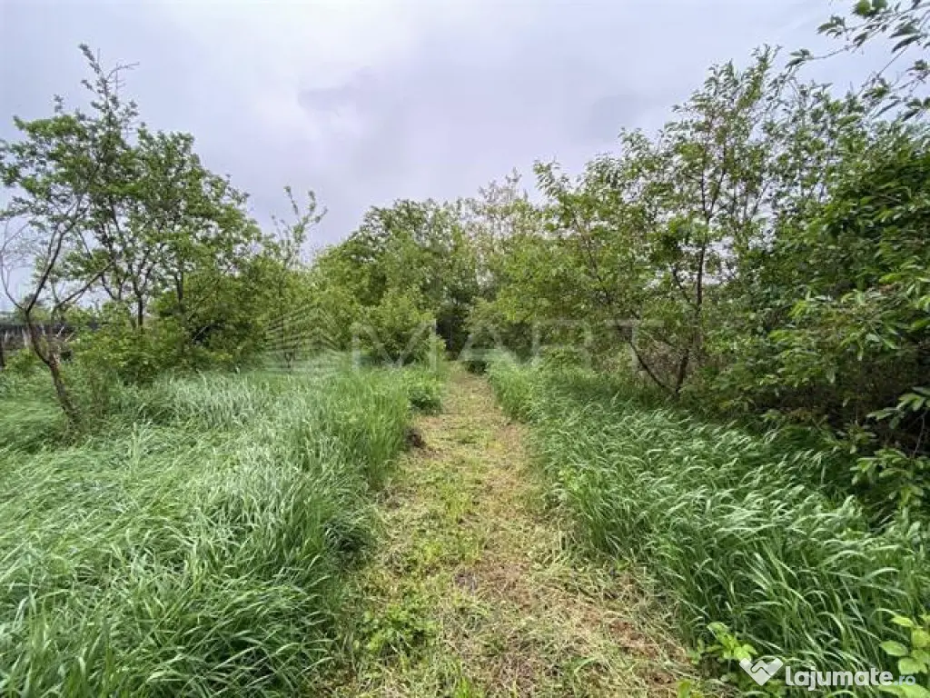 Apartament 5 camere la casa zona Turnisor