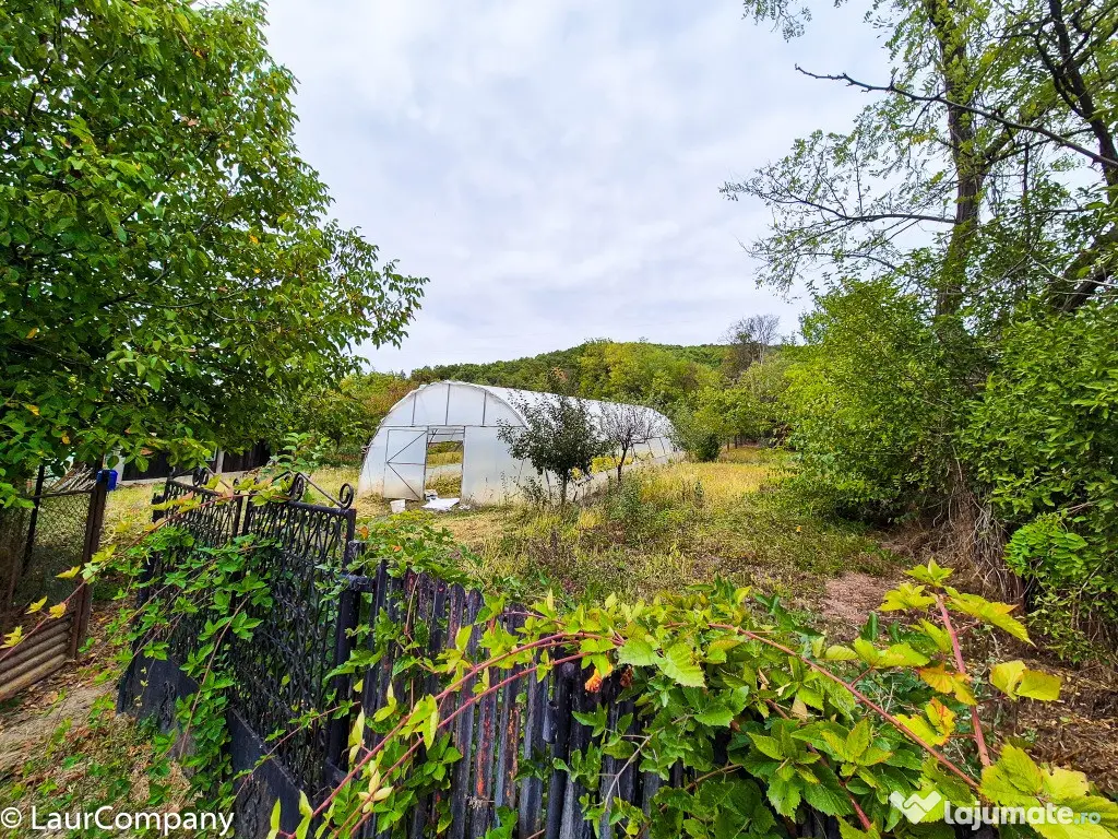 Casa , teren intravilan Valea Mare Stefanesti Arges