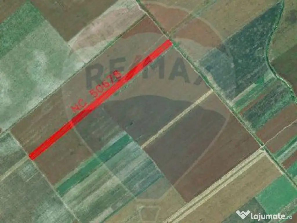 Teren 22,269mp Nuci / Strada principala 