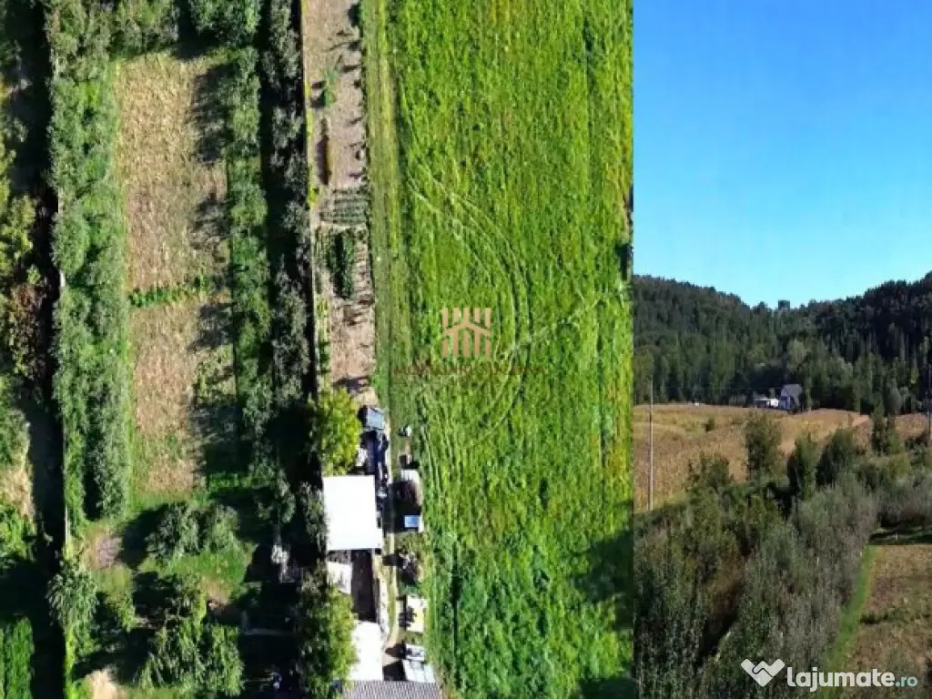 Teren 1594 mp intravilan - Suceava - Scheia! 