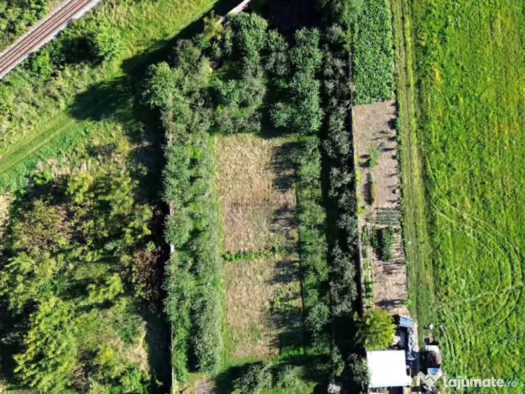 Teren 1594 mp intravilan - Suceava - Scheia! 