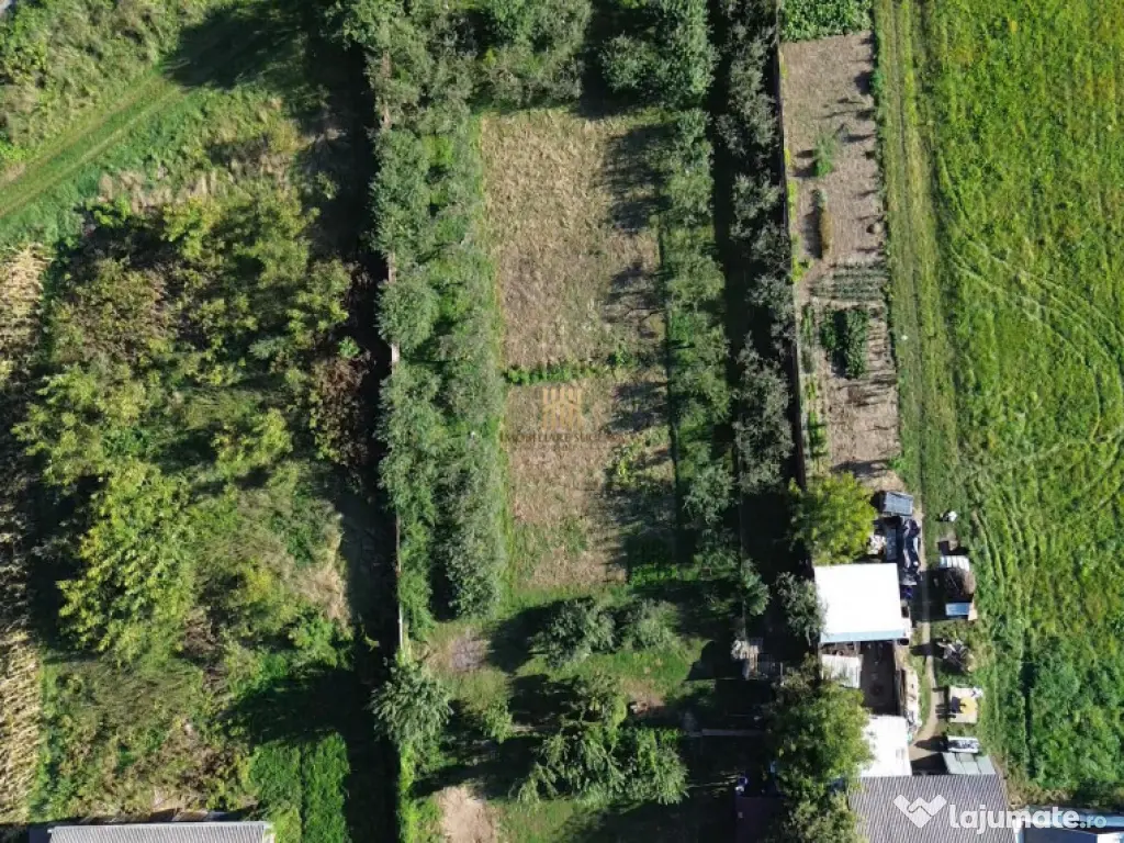 Teren 1594 mp intravilan - Suceava - Scheia! 