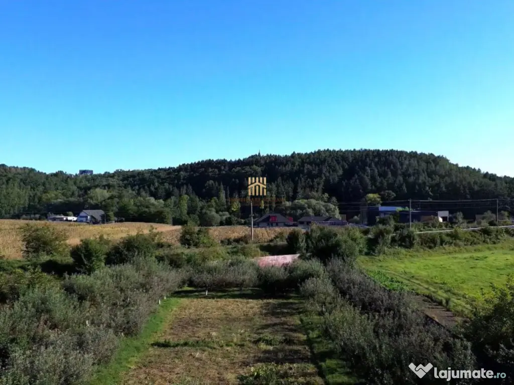 Teren 1594 mp intravilan - Suceava - Scheia! 