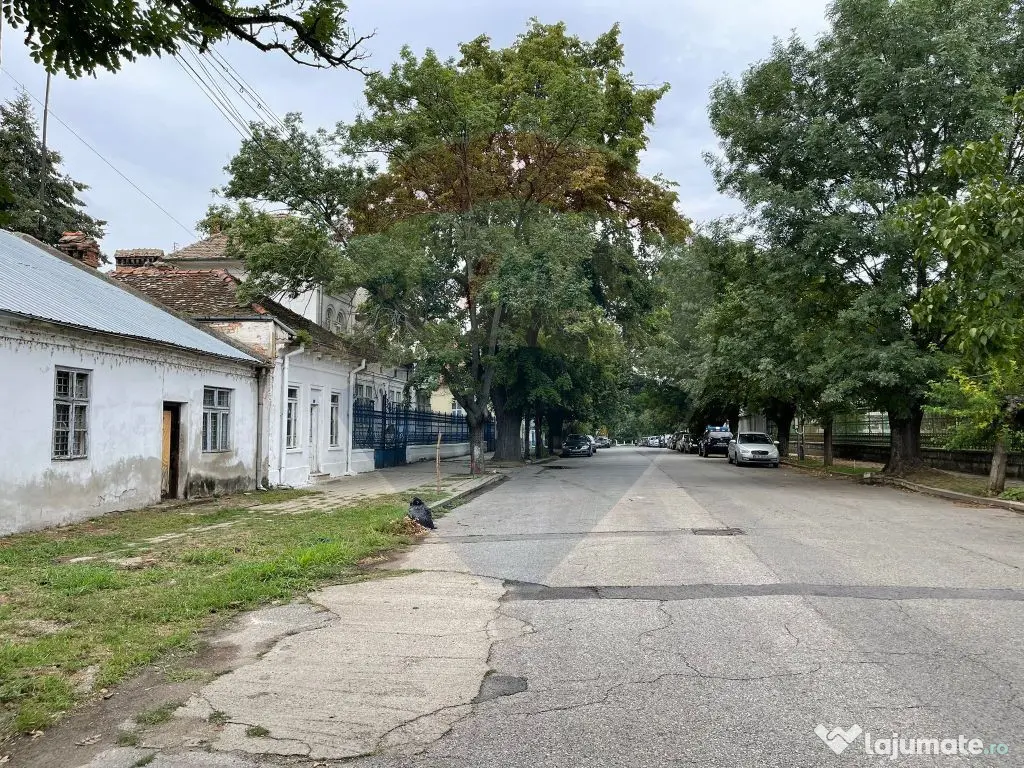 Teren Intravilan de Vânzare, Calafat - Str. Gheorghe Doja 